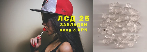 ГАЛЛЮЦИНОГЕННЫЕ ГРИБЫ Алексин