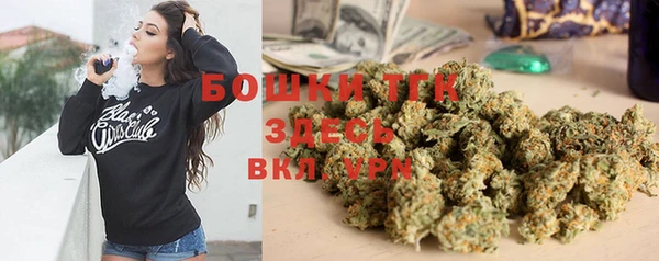 прущий лед Дмитриев