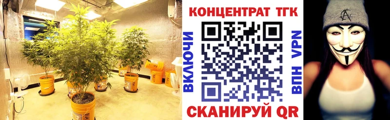 ТГК Wax  Спас-Клепики 